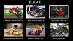 Ducatifunny.jpg