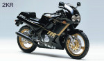 Yamaha_FZR250_2KR_Black_Small.jpg