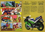 Kawasaki ZXR 250 C1 1991 03.jpg