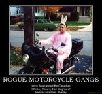 rogue-motorcycle-gangs-sean-demotivational-poster-1279823175.jpg