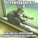 powerband-cat.jpg