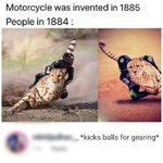 cheetah bike.jpg
