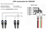 COPs ZXR250.jpg