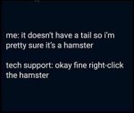 hamster.jpg