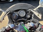IMG_7805.jpeg