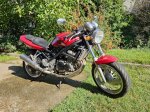 bandit_20250907_1.jpg