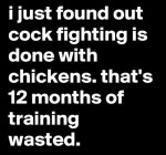 cockfighting.jpg