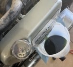 IMG_0704.jpeg