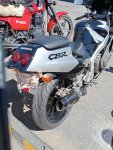 Curlewis ride 010.jpg